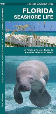 Cover of Florida Seashore Life