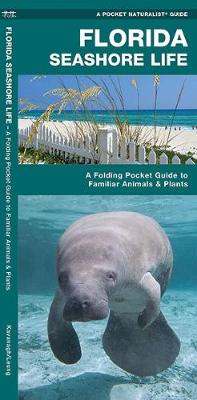 Book cover for Florida Seashore Life