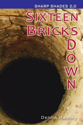 Cover of Sixteen Bricks Down  (Sharp Shades 2.0)