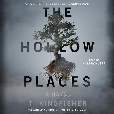 Book cover for The Hollow Places