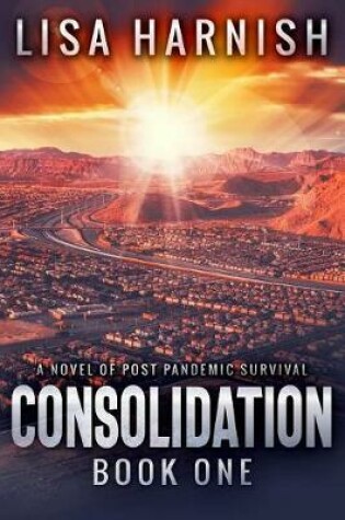 Cover of Consolidation