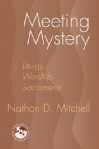 Cover of Meeting Mystery