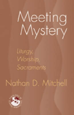 Book cover for Meeting Mystery