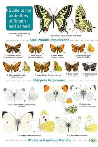 Cover of Guide to the butterflies of Britain and Ireland
