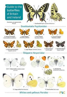 Book cover for Guide to the butterflies of Britain and Ireland