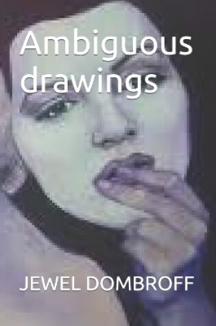 Cover of Ambiguous drawings