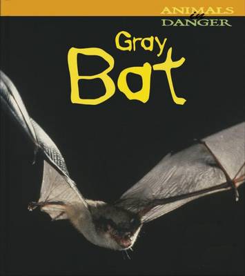 Book cover for Gray Bat