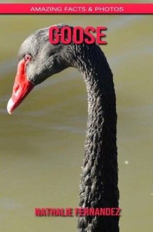 Cover of Goose