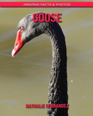 Book cover for Goose