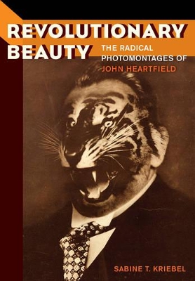 Book cover for Revolutionary Beauty