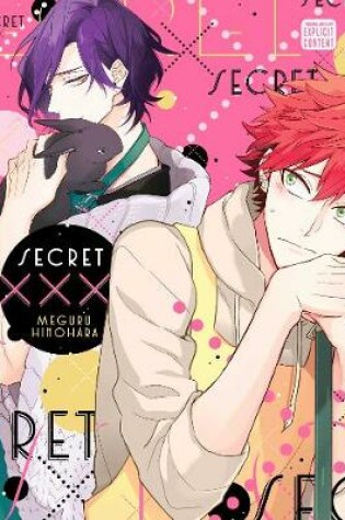 Cover of Secret XXX