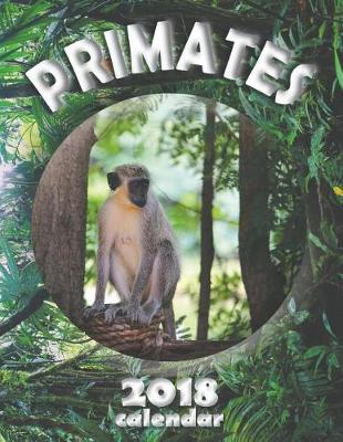 Book cover for Primates 2018 Calendar