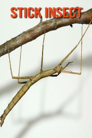 Cover of Stick Insect