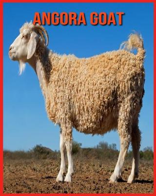 Book cover for Angora Goat