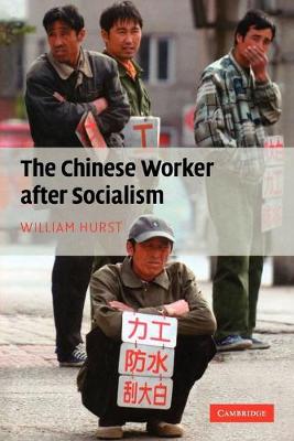 Book cover for The Chinese Worker after Socialism