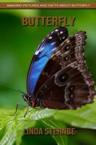 Cover of Butterfly