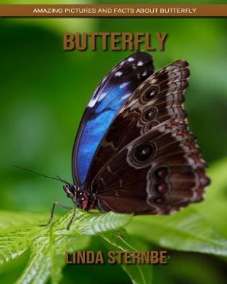 Book cover for Butterfly