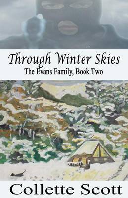 Book cover for Through Winter Skies
