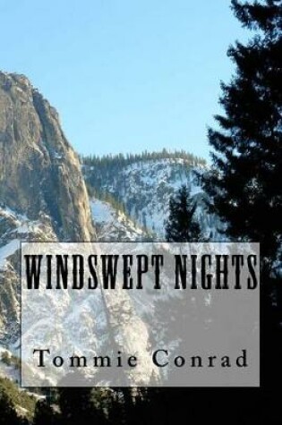 Cover of Windswept Nights