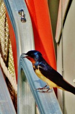 Book cover for Black Bird on Boat Blank Lined Journal for daily thoughts notebook Lovely Lake Arrowhead Photograph