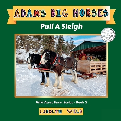 Book cover for Adam's Big Horses