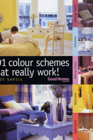 Cover of 101 Colour Schemes That Really Work!