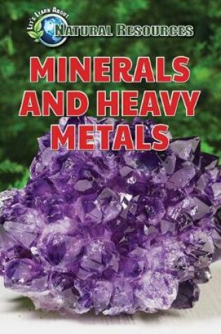 Cover of Minerals and Heavy Metals