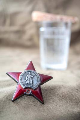 Book cover for Victory Day Journal - The Order of the Red Star