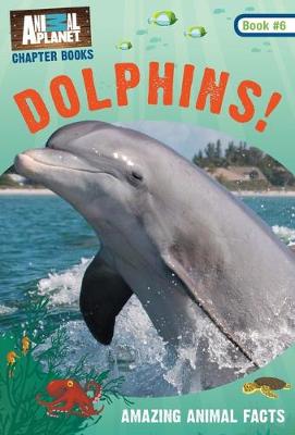 Book cover for Dolphins!