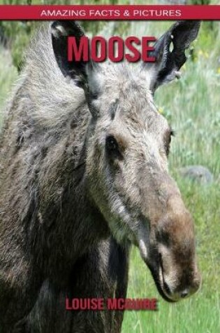 Cover of Moose