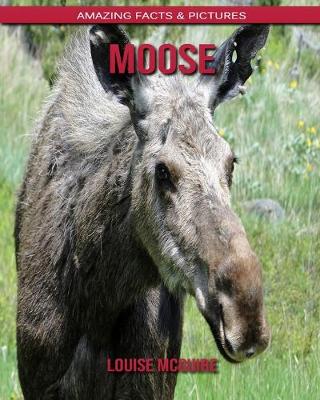 Book cover for Moose