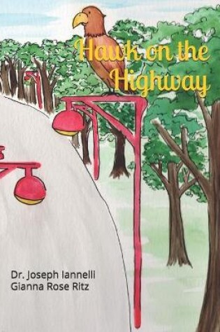 Cover of Hawk on the Highway