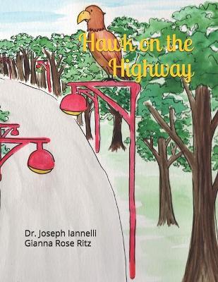 Book cover for Hawk on the Highway