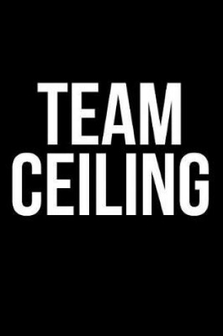 Cover of Team Ceiling