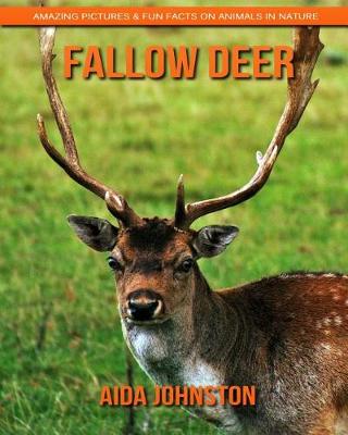 Book cover for Fallow Deer