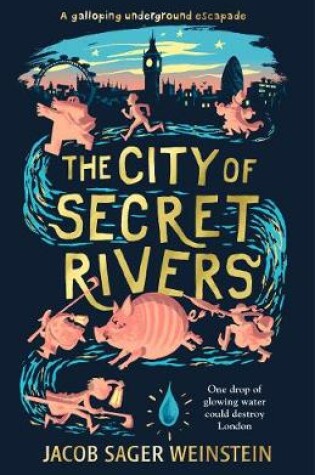 Cover of The City of Secret Rivers