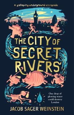 Cover of The City of Secret Rivers