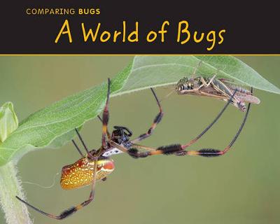 Book cover for A World of Bugs