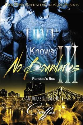 Cover of Love Knows No Boundaries 3