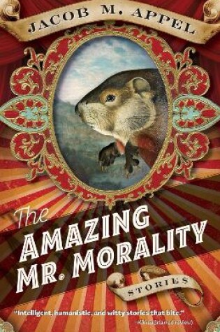 Cover of The Amazing Mr. Morality