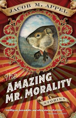 Book cover for The Amazing Mr. Morality