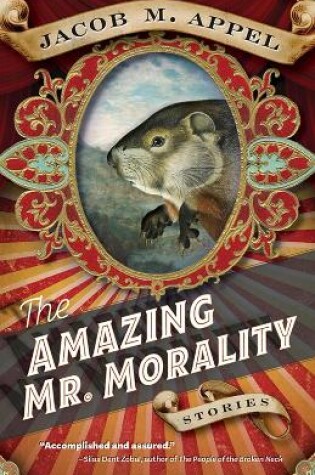 Cover of The Amazing Mr. Morality