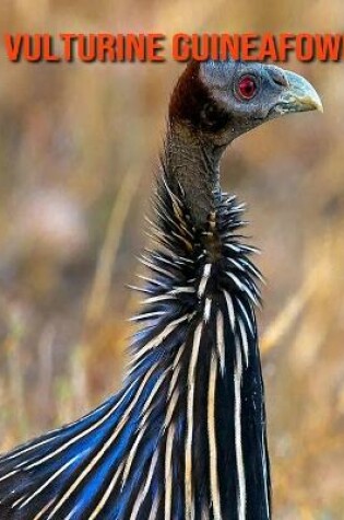 Cover of Vulturine Guineafowl