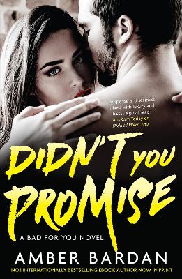 Cover of Didn't You Promise