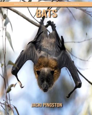 Book cover for Bats