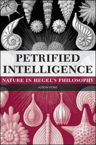 Cover of Petrified Intelligence