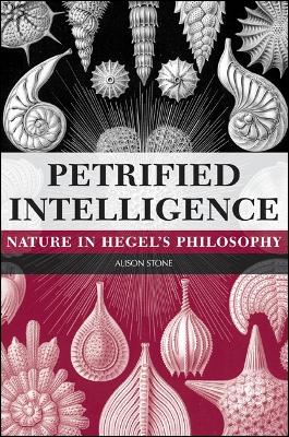 Book cover for Petrified Intelligence