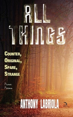 Book cover for All Things Counter, Original, Spare, Strange