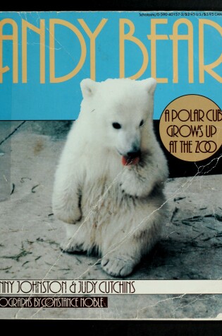 Cover of Andy Bear