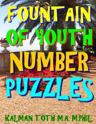 Book cover for Fountain of Youth Number Puzzles